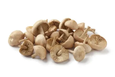 Getrocknete Nelkenschwindlinge – Ganz, 50g
